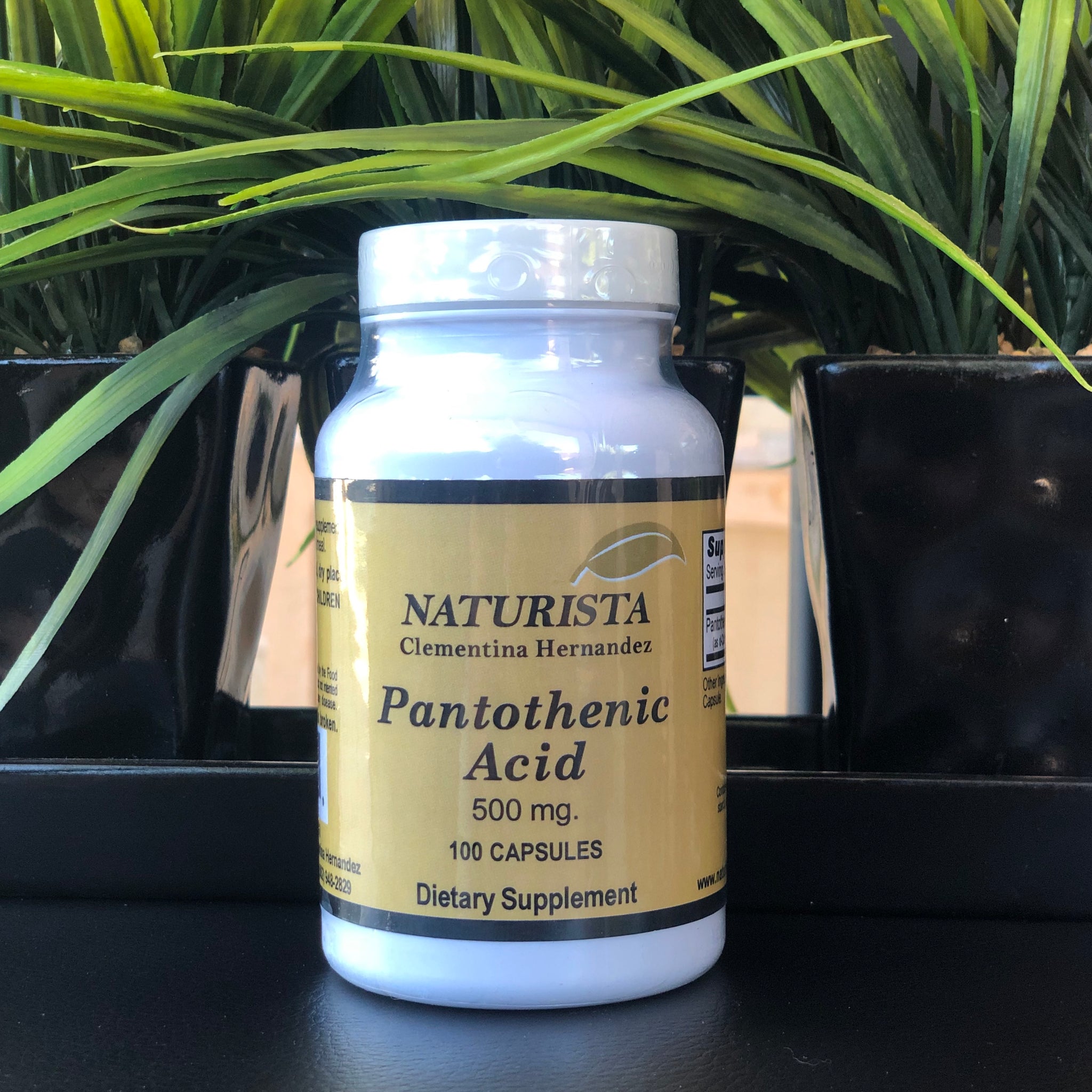 Pantothenic Acid